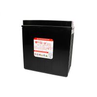 Batterie MF Poweroad YTX16-BS