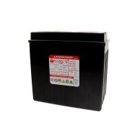 Batterie MF Poweroad YTX14-BS