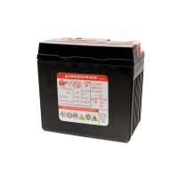 Batterie MF Poweroad YTX5L-BS
