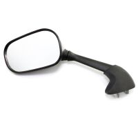Left Mirror