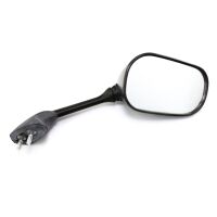 Right Mirror