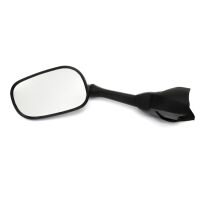 Left Mirror