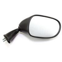 Right Mirror