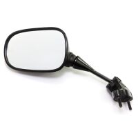 Left Mirror