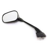 Left Mirror