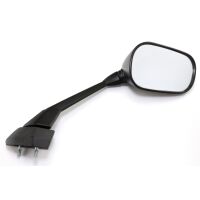 Right Mirror