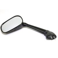 Left Mirror
