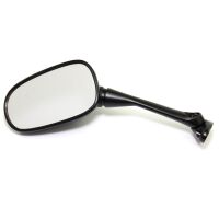 Left Mirror