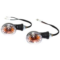 Blinker Paar Mini Oval schwarz E-geprüft