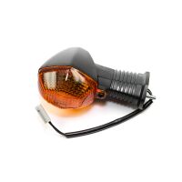 Blinker vorne rechts E-geprüft
