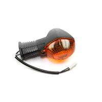 Blinker vorne links E-geprüft
