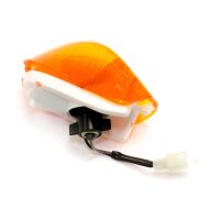 Blinker vorne links E-geprüft