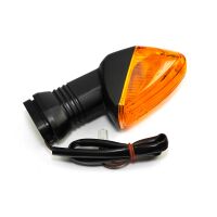 Blinker hinten rechts E geprüft