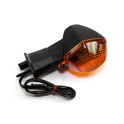 Blinker hinten rechts E geprüft