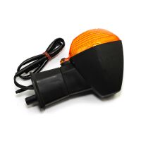 Blinker hinten rechts E geprüft
