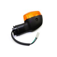 Blinker vorne links E-geprüft