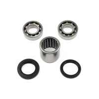 Swingarm Bearing Set SAO-115