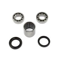 Swingarm Bearing Set SAO-115