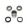 Swingarm Bearing Set SAO-115