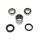 Swingarm Bearing Set SAO-115