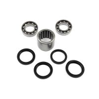 Swing Arm Bearing Set SAO-119