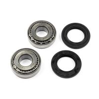 Swingarm Bearing Set SAO-210