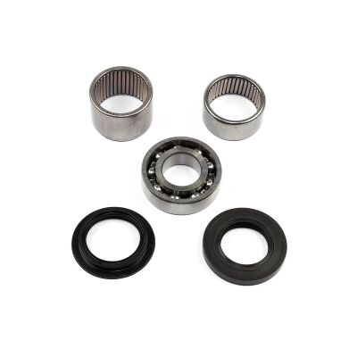 Swingarm Bearing Set SAO-408