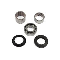 Swingarm Bearing Set SAO-408