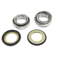 Steering wheel bearings kit 22-1010