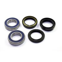 Radlager Satz vorne All Balls Racing 25-1108