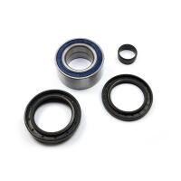Radlager Satz vorne All Balls Racing 25-1005