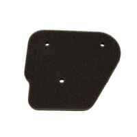 Luftfilter Filtereinsatz RMS