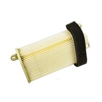 Luftfilter Filtereinsatz Motorgehäuse RMS