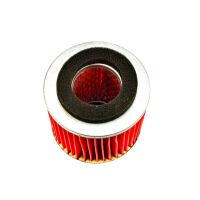 Luftfilter Filtereinsatz RMS