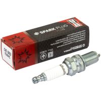 Zündkerze Champion RA6HC / OE083/T10