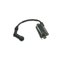 Zündspule RMS 2 Pins