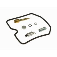 Carburetor Repair Kit CAB-K4