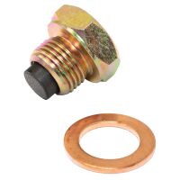Ölablassschraube magnetisch M14 x 1,25 mm mit Dichtring