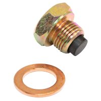 Ölablassschraube magnetisch M14 x 1,25 mm mit Dichtring