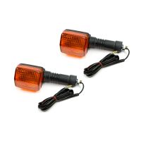 Blinker Satz E-geprüft 2 Stück