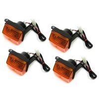 Indicator Set E-marked 4 pieces