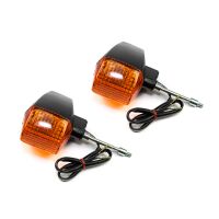 Blinker Satz hinten E-geprüft 2 Stück