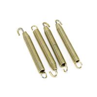 Auspuff Feder Satz 99 mm