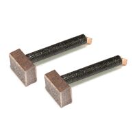 Anlasser Kohlebürste Set 2 Stück