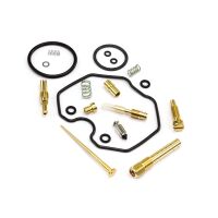 Vergaser Reparatur Satz CAB-DH01