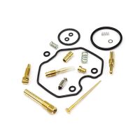 Vergaser Reparatur Satz CAB-DH01