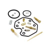 Vergaser Reparatur Satz CAB-DH02
