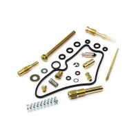 Vergaser Reparatur Satz CAB-DH03