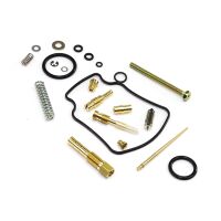 Vergaser Reparatur Satz CAB-DH05