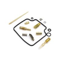 Vergaser Reparatur Satz CAB-DH32